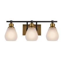 Artcraft AC11683BB - Nelson Collection 3-Light Bathroom Brass & Black