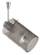 Besa Lighting SP-6524ES-12-SN - Besa Spotlight With 12" Stem Scope Satin Nickel Smoke/Frost 1x50W Halogen Mr16