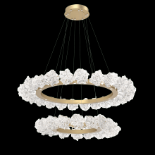 Hammerton CHB0059-2B-BB-BC-CA1-L1 - Two Tier Blossom Ring Chandelier - 2B-Burnished Bronze