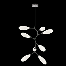 Hammerton CHB0071-VB-GP-WL-001-L3 - Fiori Modern Vine 8 Pc.-Graphite-White Glass Lens