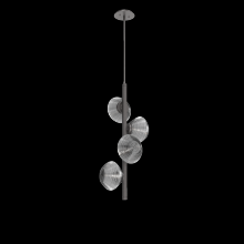 Hammerton CHB0089-T4-GP-S-001-L3 - Mesa 4pc Twisted Vine-Graphite-Smoke Blown Glass-Threaded Rod Suspension-LED 3000K