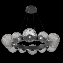 Hammerton CHB0092-39-MB-S-CA1-L1 - Gaia Radial Ring Chandelier