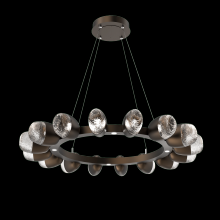 Hammerton CHB0079-36-FB-PC-CA1-L1 - Pebble 36" Ring (16 Small Glass)-Flat Bronze-Pebble Clear