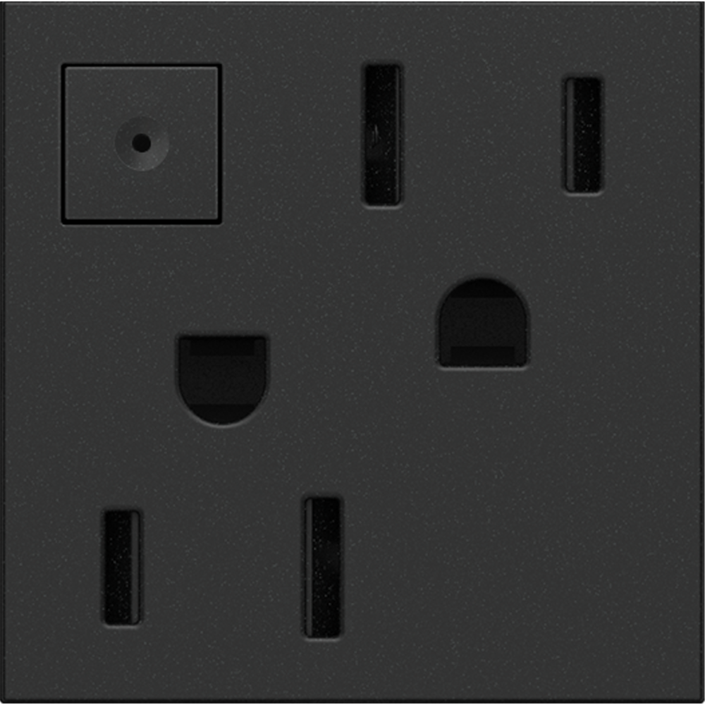 adorne® 15A Energy-Saving On/Off Outlet, Graphite