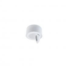 WAC US FM-W45205-30-WT - Peek Outdoor Flush Mount Light