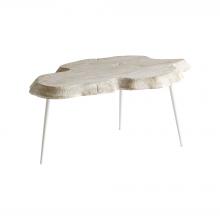 Cyan Designs 11342 - Palmer Coffee Table