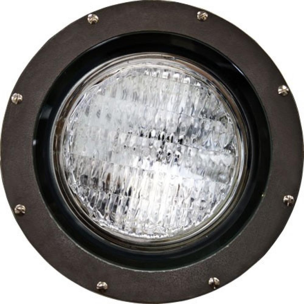 FIBERGLASS WELL LIGHT W/GRILL PAR38 120V