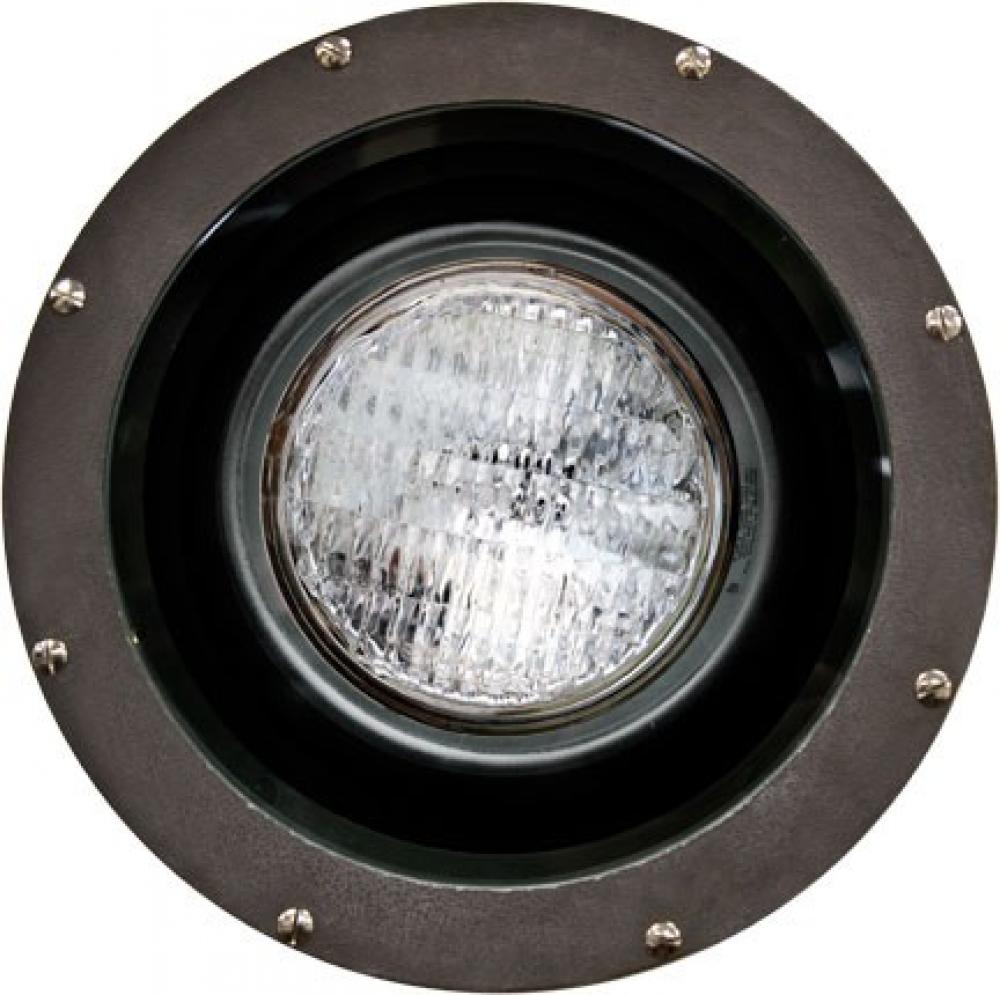 FIBERGLASS WELL LIGHT W/GRILL PAR38 120V