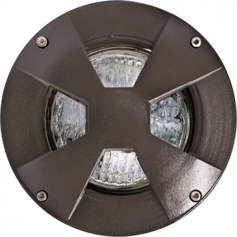 WELL LIGHT W/DRIVEOVER CVR W/ SLV 6W LED PAR36 12V