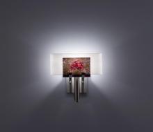 WPT Design Dessy1-WR/FLWH - Dessy 1 - SS - Incandescent - Wired Rose/Flat Back White