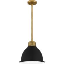 Quoizel QPP5569WS - Quoizel Piccolo Pendant