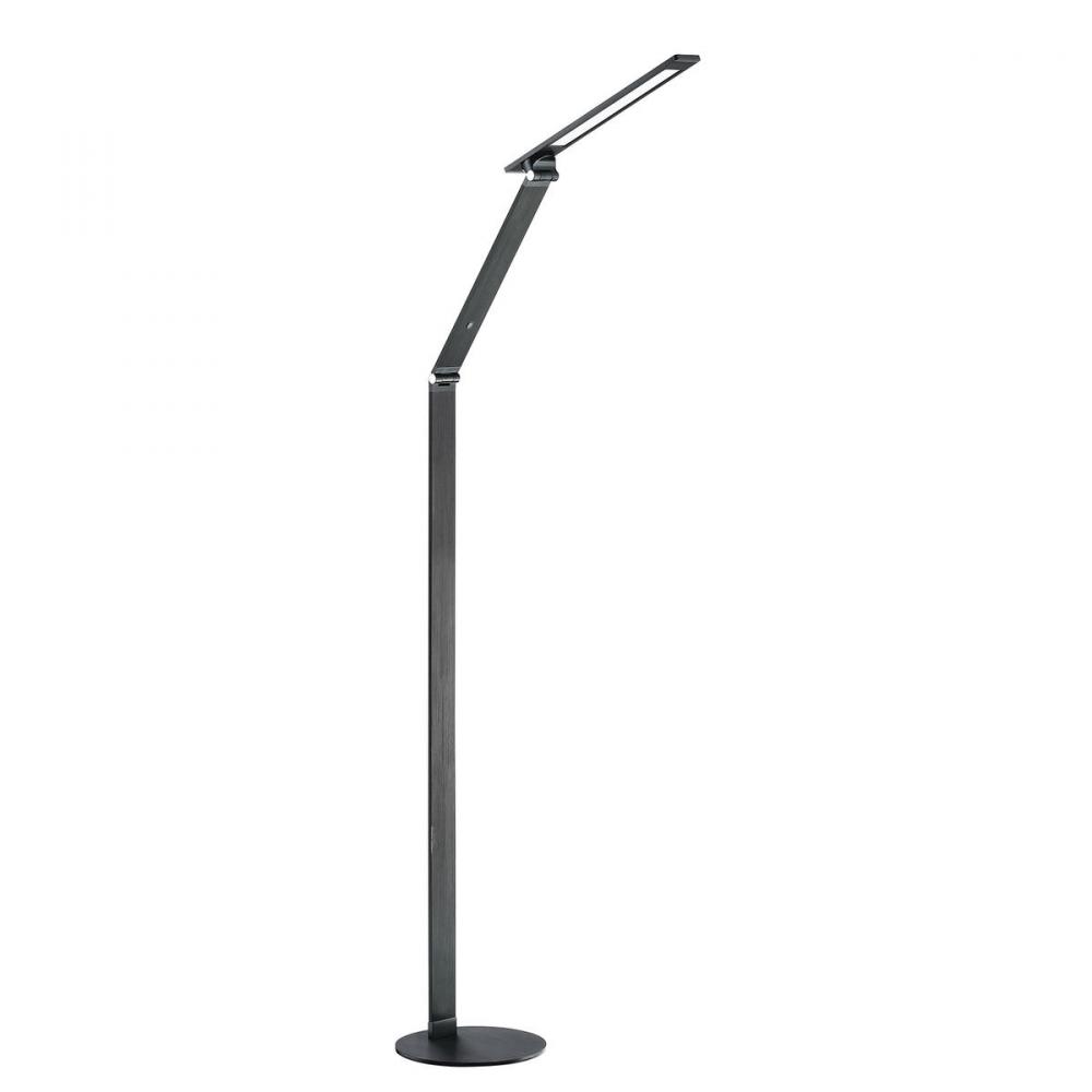 JEXX 54 in. Black LED Floor Lamp