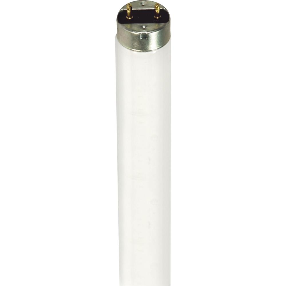 32 Watt; T8; Fluorescent; 4100K Cool White; Medium Bi Pin base; TF Shatter Proof