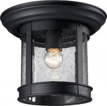 OUTDOOR FLUSH MOUNT