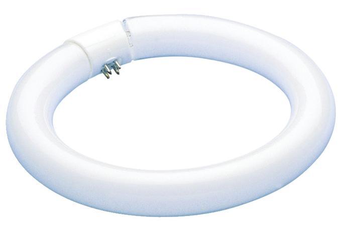 40W T9 Circular Fluorescent Cool White 4-Pin Base, Hanging Box