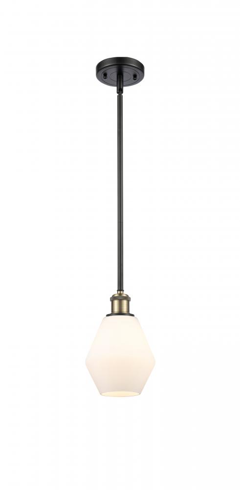 Cindyrella - 1 Light - 6 inch - Black Antique Brass - Mini Pendant