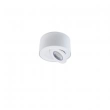 Modern Forms US Online FM-W44205-30-WT - I Spy Outdoor Flush Mount Light