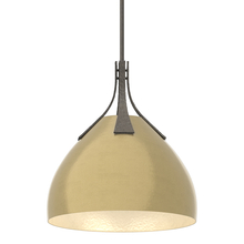 Hubbardton Forge 134502-SKT-MULT-07-86 - Summit Pendant