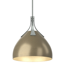 Hubbardton Forge 134502-SKT-MULT-82-84 - Summit Pendant