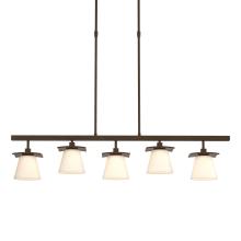 Hubbardton Forge 136605-SKT-LONG-05-GG0242 - Wren 5 Light Pendant