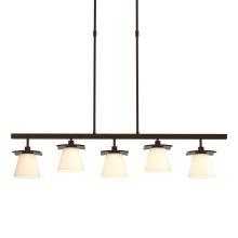 Hubbardton Forge 136605-SKT-LONG-14-GG0242 - Wren 5 Light Pendant