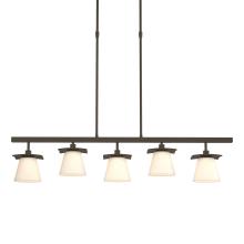 Hubbardton Forge 136605-SKT-SHRT-07-GG0242 - Wren 5 Light Pendant