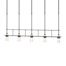 Hubbardton Forge 137725-SKT-SHRT-07-ZM0343 - Erlenmeyer 5 Light Pendant