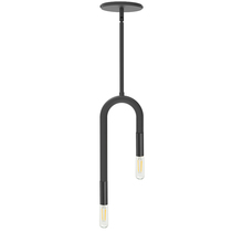 Dainolite WAN-152P-MB - 2LT Incandescent Pendant, MB