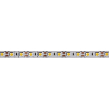 Dainolite DLT-17335 - 17.3With M 3500K, 24VDC 5M 10mm LED Tape Lig