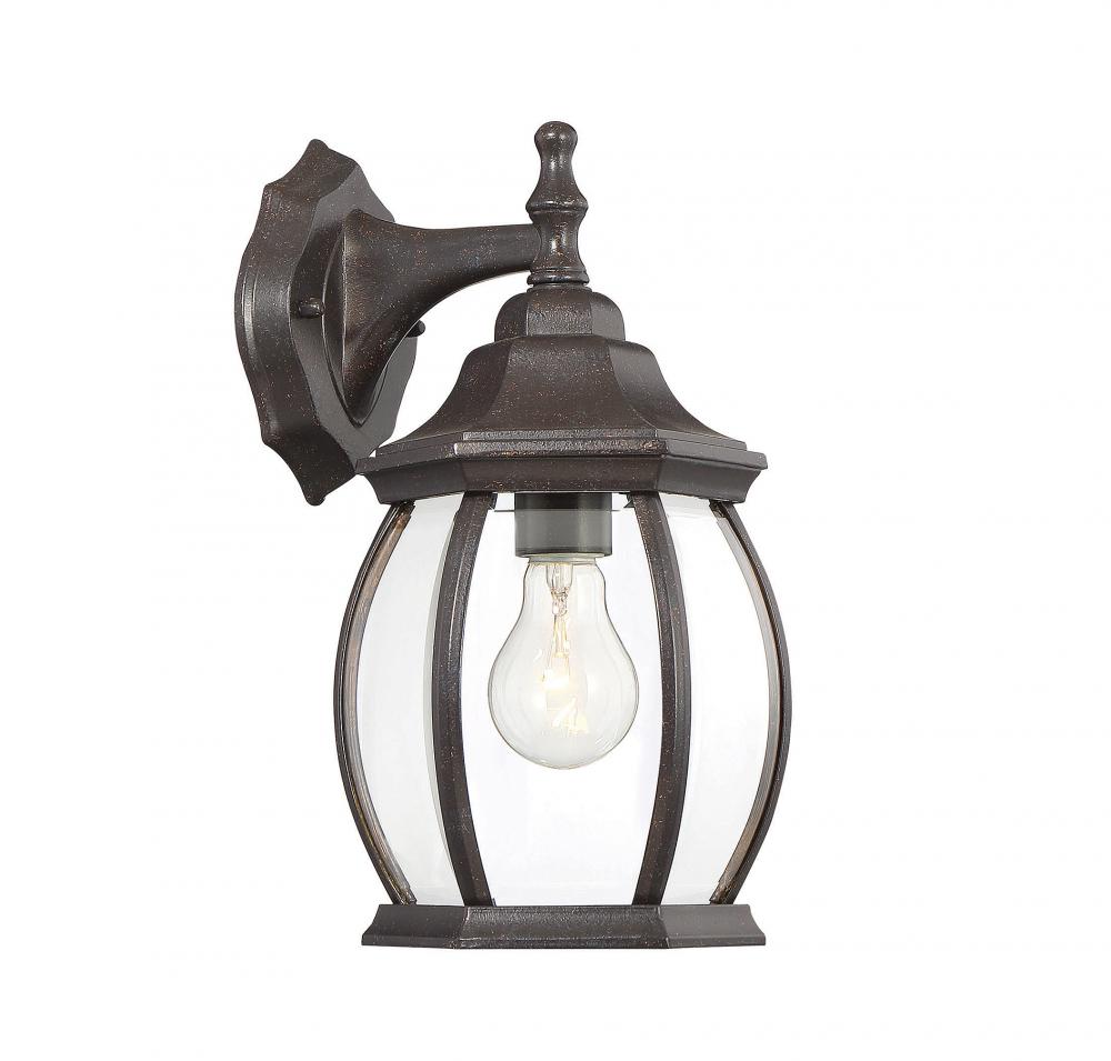 1-Light Outdoor Wall Lantern in Rustic Bronze