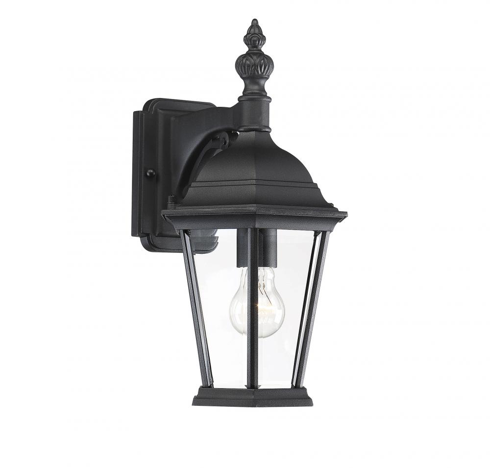 1-Light Outdoor Wall Lantern in Black