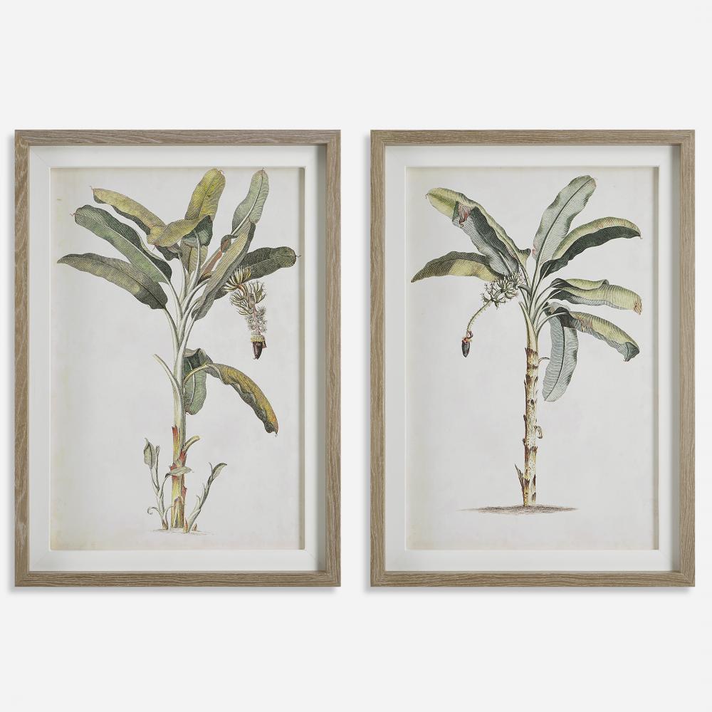 Banana Palm Framed Prints, Set/2