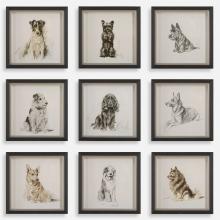 Uttermost 32344 - Loyal Companion Framed Dog Prints, S/9